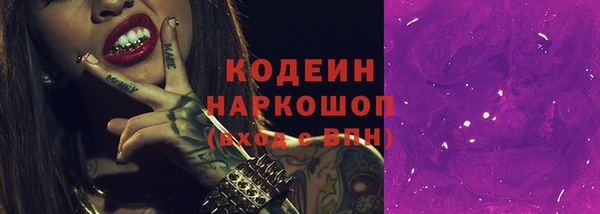 гашик Арсеньев
