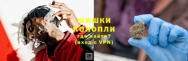 гашик Арсеньев