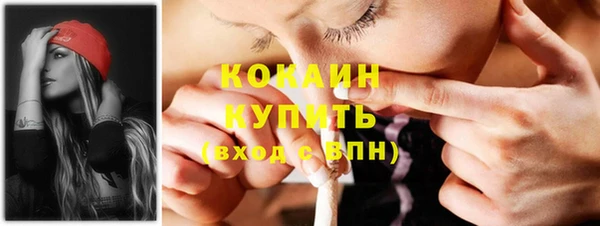 гашик Арсеньев