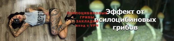гашик Арсеньев