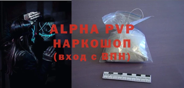 гашик Арсеньев