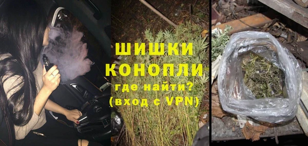 гашик Арсеньев