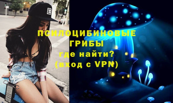 прущие крисы Армянск