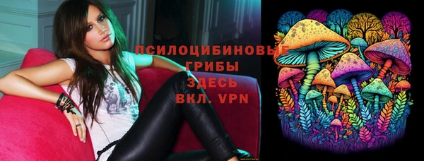 гашик Арсеньев